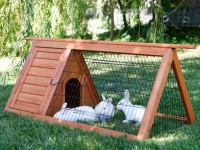 Cages bricolage pour lapins: instructions pas à pas pour créer + 58 options photo